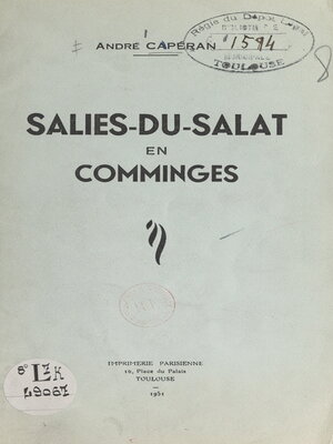 cover image of Salies-du-Salat en Comminges